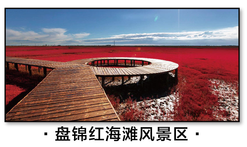 1591326996902075.jpg 盤錦紅海灘風景區(qū).jpg